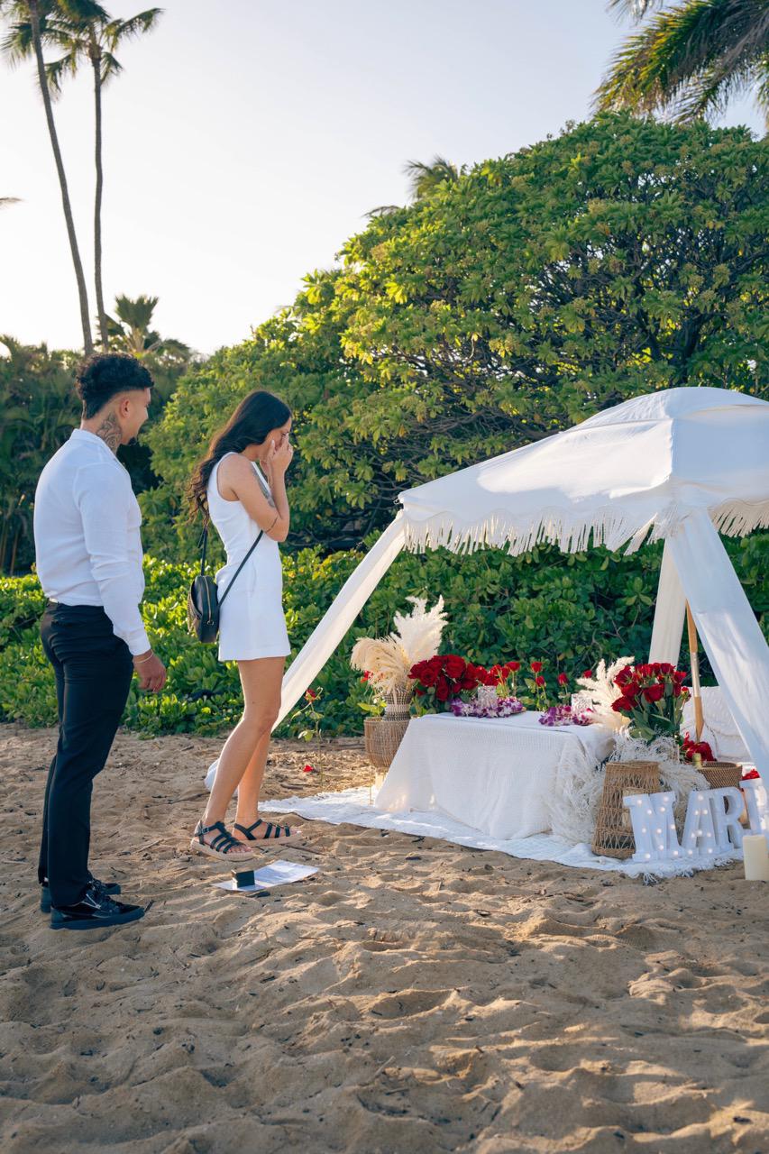 Proposal Picnic 