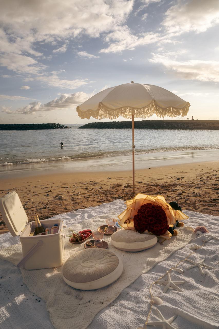 Picnic basket to go - Honolulu Hawaii