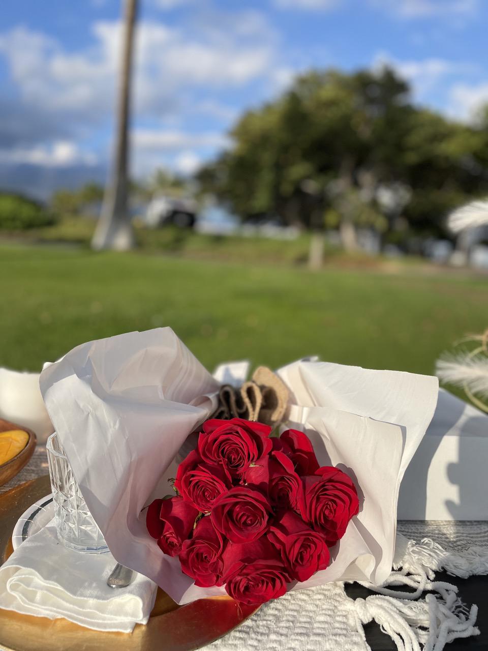 Family Picnic Birthday