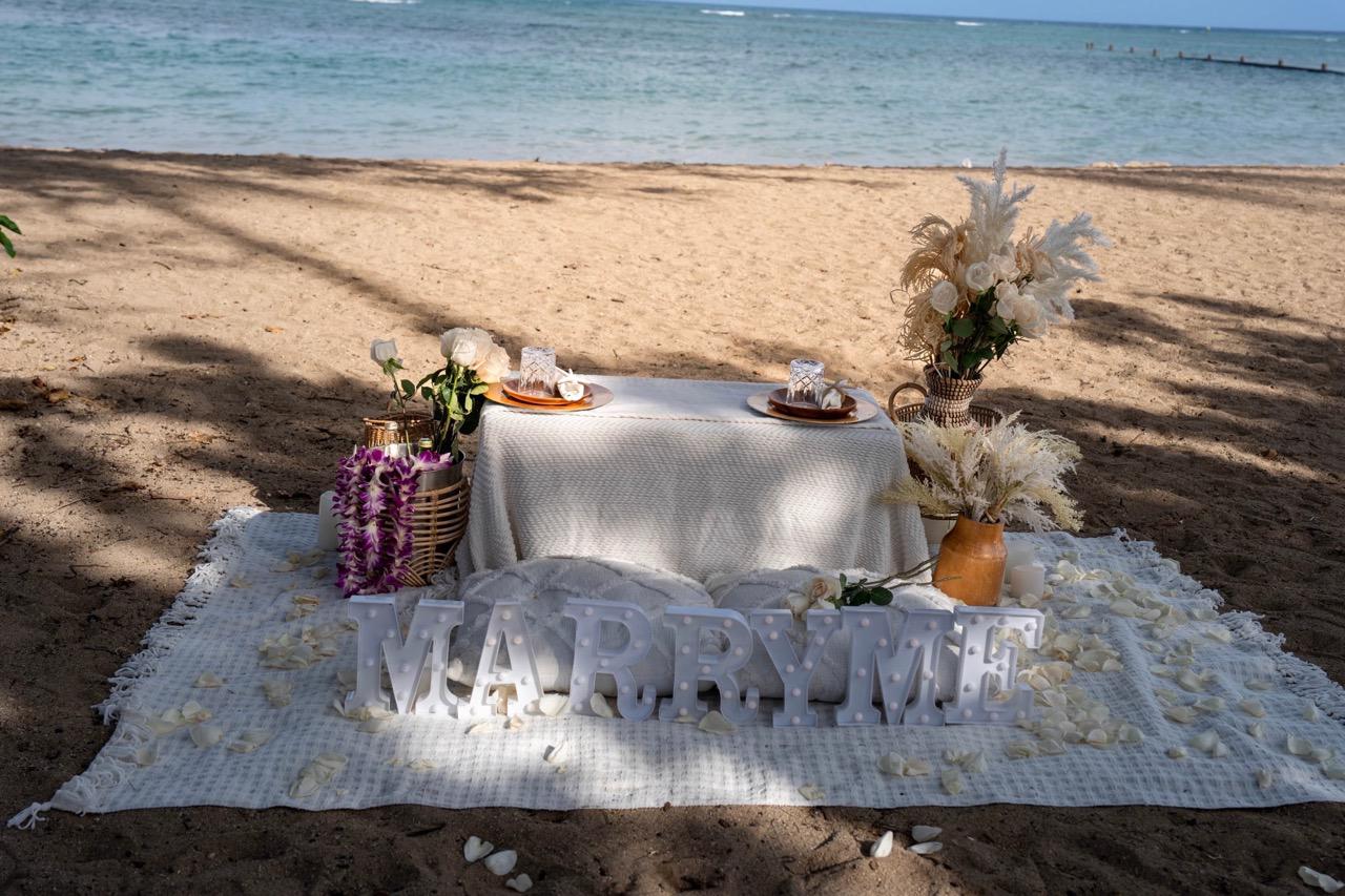 Proposal Picnic