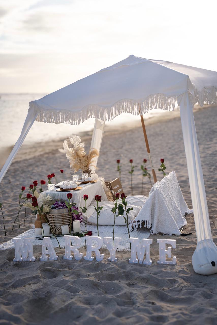 Proposal Picnic