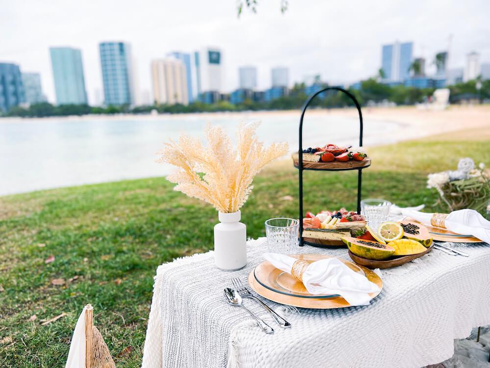 You want some food? Hawaii Picnic