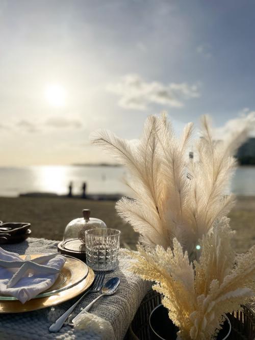 Picnic at the Beach - Honolulu Hawaii