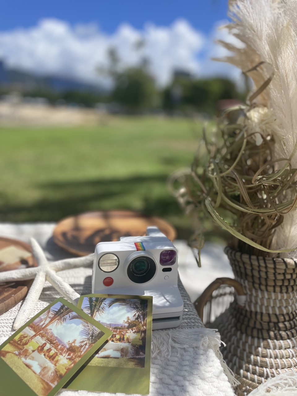 Where to have a picnic when you are in Hawaii?