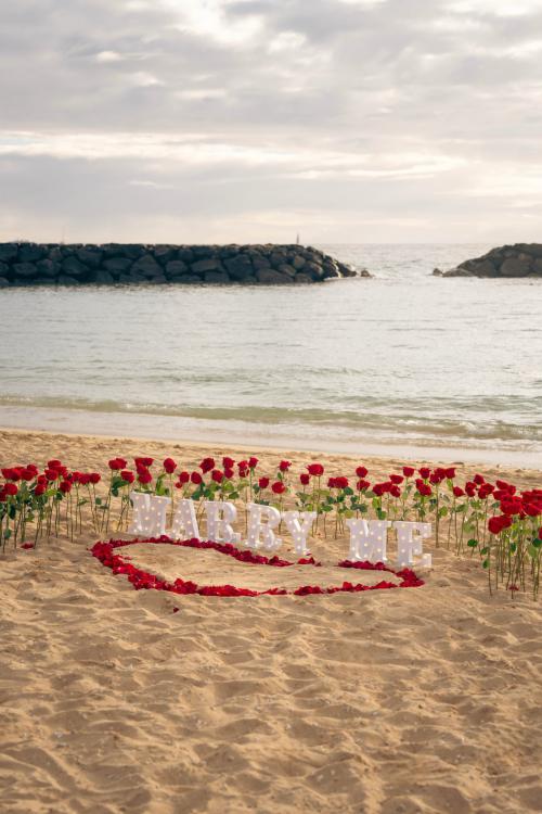 Hawaii Beach Proposal background + 30 minutes Photoshoot