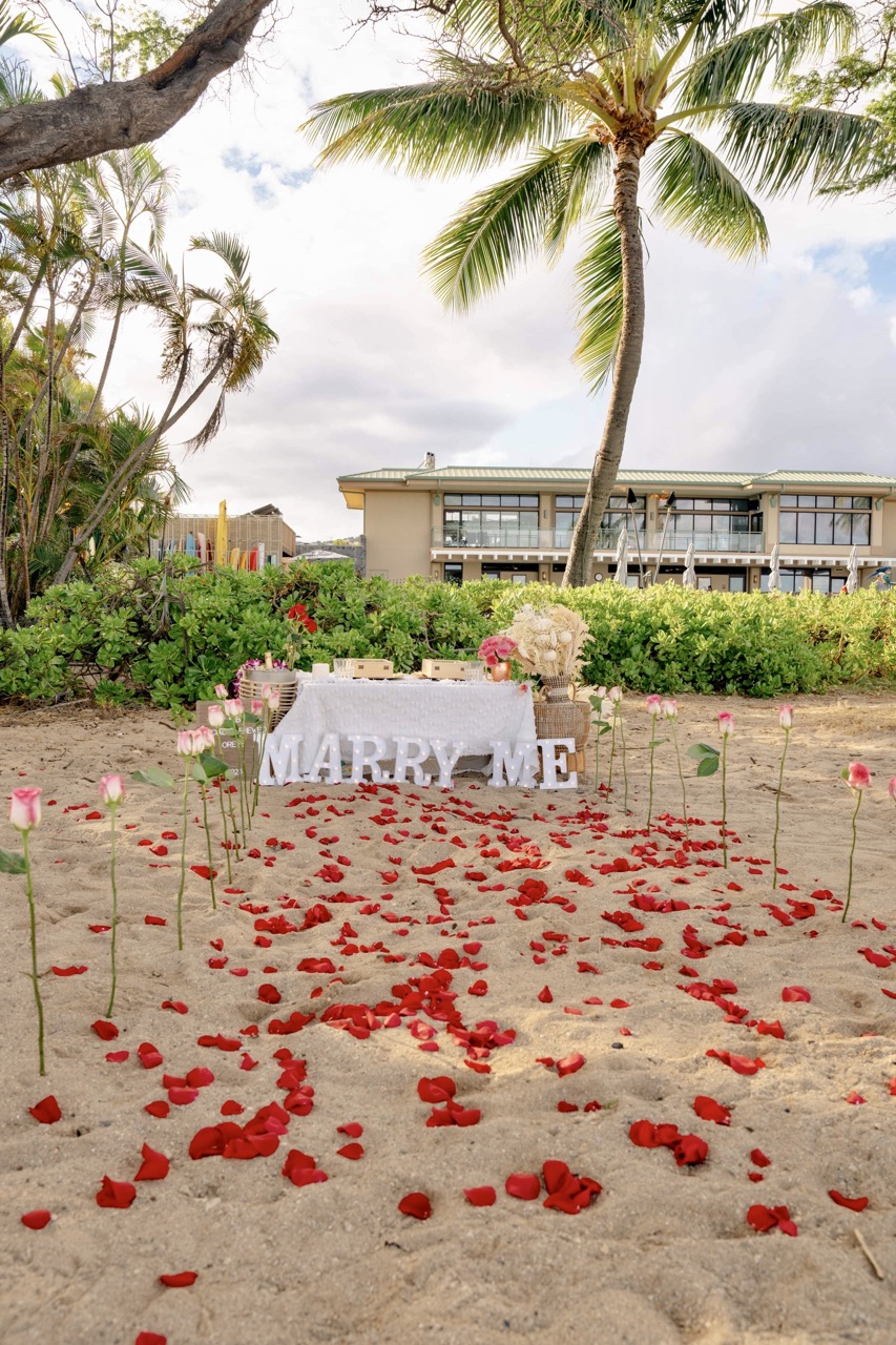 Romantic Proposal Picnic