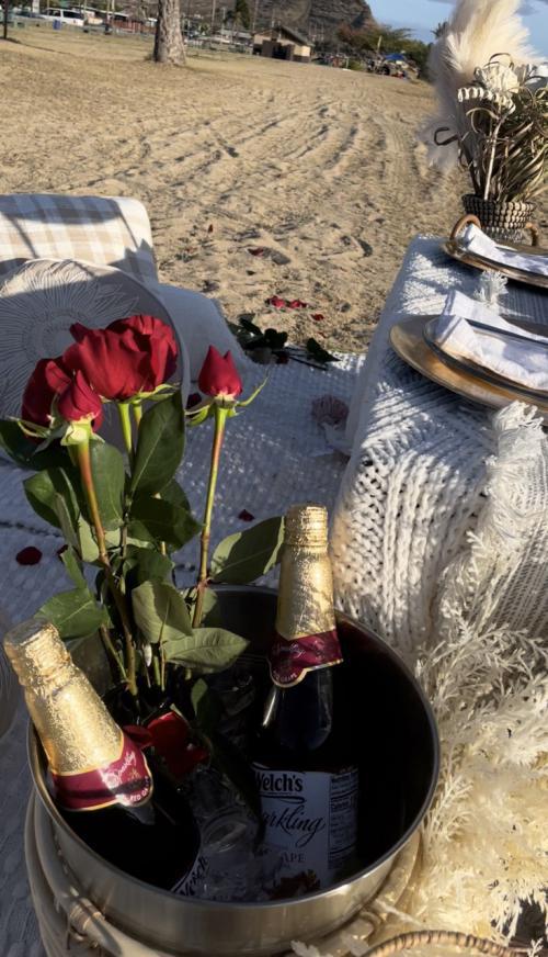 Romantic Proposal Picnic