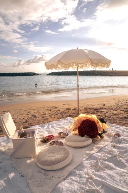 Surprise Hawaii Romantic Picnic Basket To Go